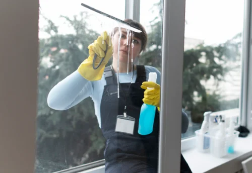 Nettoyage de vitres intérieures et extérieures à Mareuil-sur-Lay-Dissais
